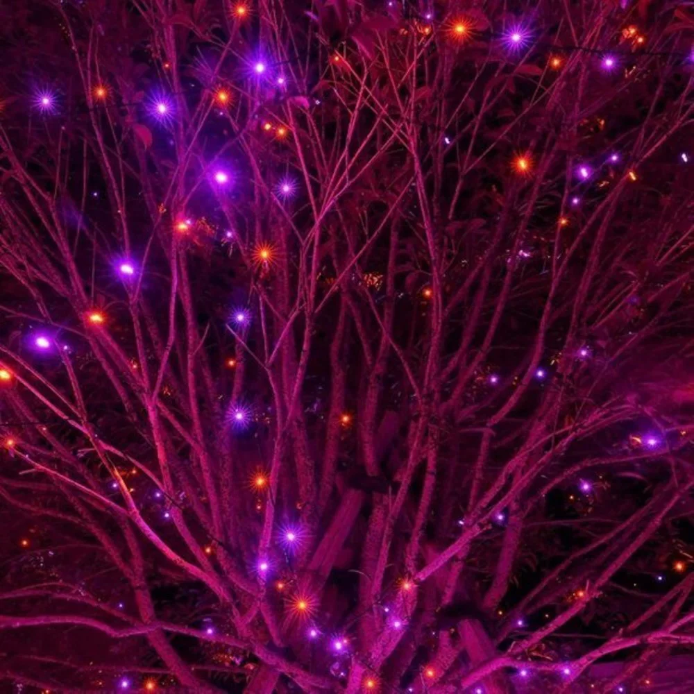 300 LED 8 Lighting Modes String LightsDecorations for‎ Party Carnival Supplies